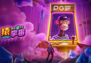 pg赚钱网站2024最新版